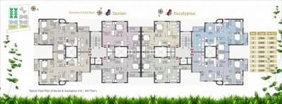Floor Plan - Durian & Eucalyptus
